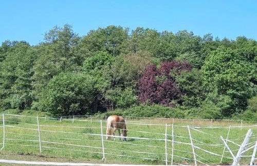 Carlchens Casa - Photo 24