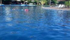 Paraíso - Foto 4