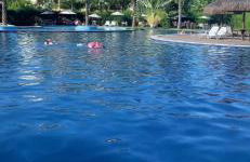 Paraíso - Foto 4