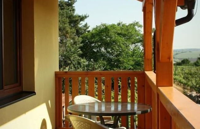 PENZION POD PALAVU - Photo 36