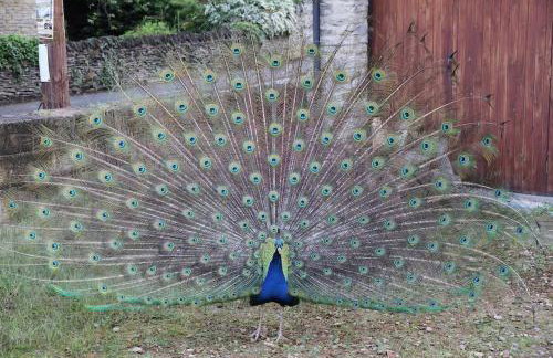 One Bedroom Character Cottage - Photo 12