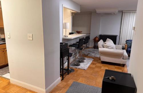PENTAGON CITY SUPRLOCATION,5ppl,PRIVATE,METRO,PARK - Foto 9