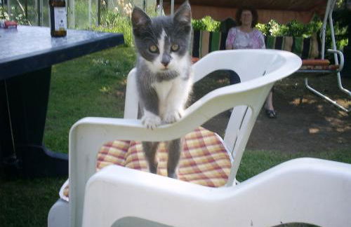 Ferienhaus Krähmer - Foto 39