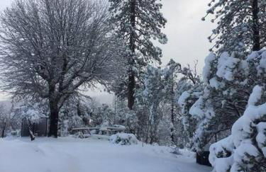 Uncle Grizz's Cabin...get intouch with nature - Foto 18