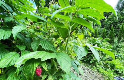 Źródlana13 Apartamenty Maków Podhalański - Foto 16