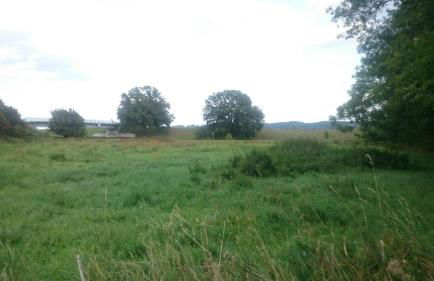 Gutshaus am Nationalpark Unteres Odertal - Foto 46