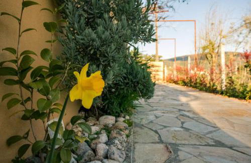 Quinta-lina de serpins - Foto 67