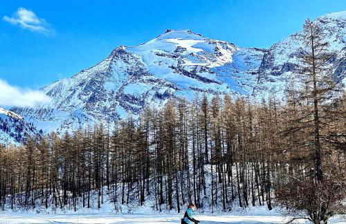 Chalet Les Cocales - Séjour et nuitées - Appartement Pin Cembro - Foto 25