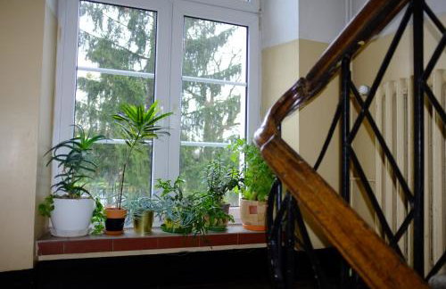 Meta Biblioteka - Foto 3