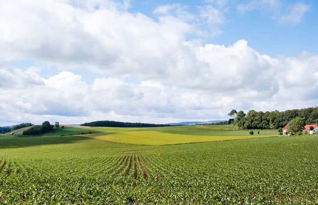 Feusdorf Forest Bungalow - Photo 29