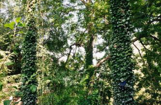 Domek Letniskowy na Wyłączność - Łaszka - Foto 18