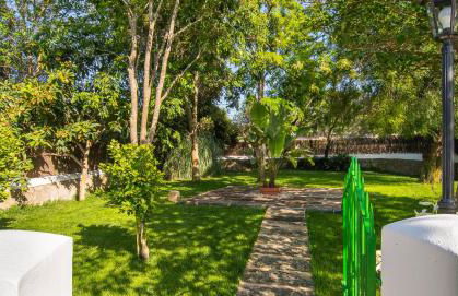 Finca Can Tiro - Foto 43