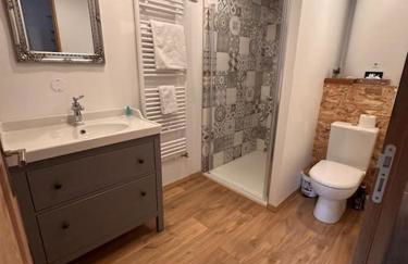 Au Petit Langres Logement Centre-Ville - Photo 13