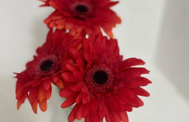 LamaisondeMaria - Foto 27