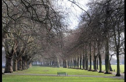 Amazing Riverside Boheme Home in SW London! - Foto 24