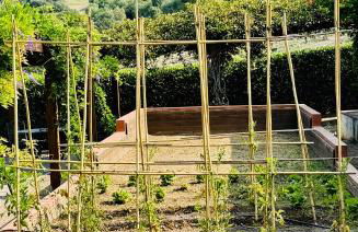 Fattoria Tolomei - Foto 65