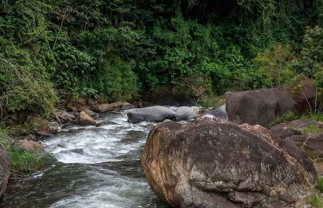 Rocka Verde Retreat - Foto 42