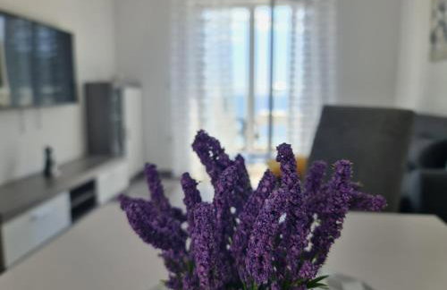 Apartments Pavlić - Photo 11