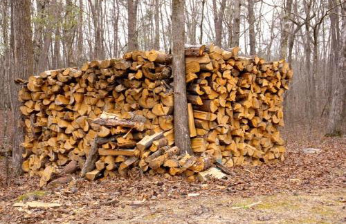 Secluded Cabin - Games, Fire Pit, Hot Tub, Pet OK - Foto 51