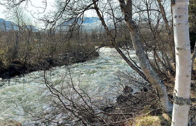 4 Person Holiday Home in Hovden-by Traum - Foto 22