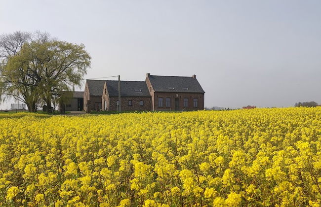 Mansion in Roesbrugge With Garden - Foto 61