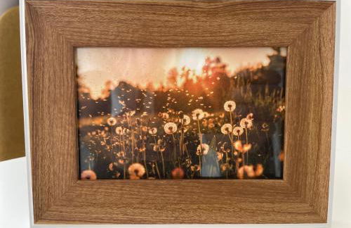 Loreleyblick-Ferienwohnung am Rheinsteig - Natur und Aussicht - Foto 15