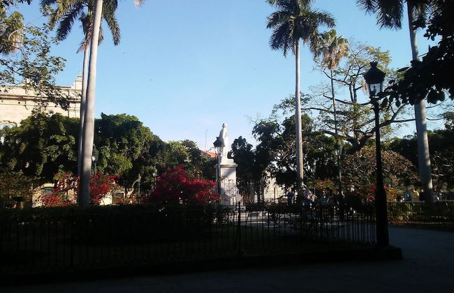 Apartment in Havana with terrace - Photo 35