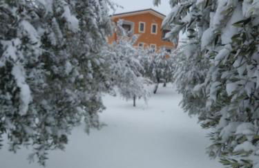 Santa Giusta - Foto 14