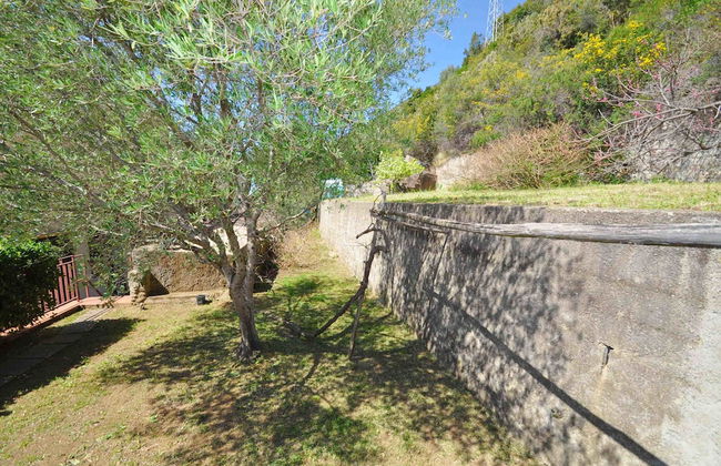 Amami Viaggi - Villa Carolina - Foto 29