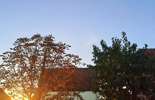 Ferienwohnung "Neu Dessau" - Foto 13