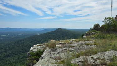 Lula Lake Cabin - Foto 3