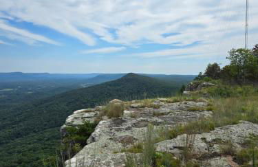 Lula Lake Cabin - Foto 3