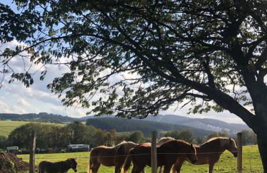 Landhaus Silbach - Photo 40