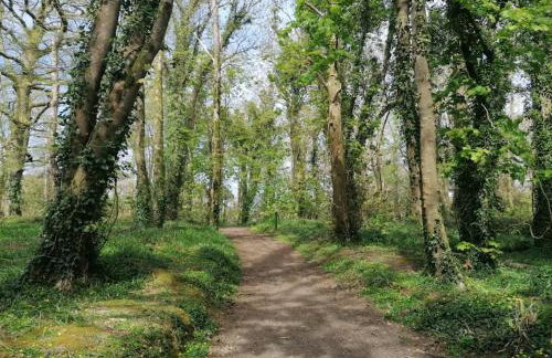 Pebble Cottage - Foto 25