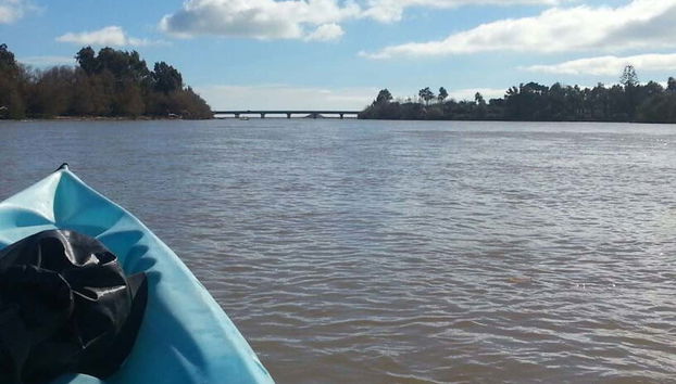 Tour en kayak por el río Guadiaro - Foto 4