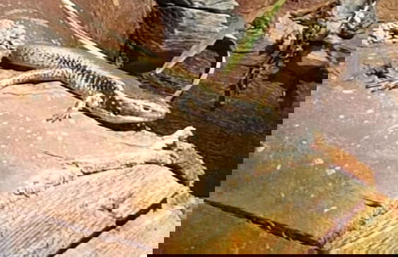 Trading Places - Photo 25