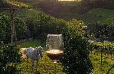 Chalé Sunset com Hidro, lareira, piscina, cavalo, trilha, tiro ao alvo - Foto 25