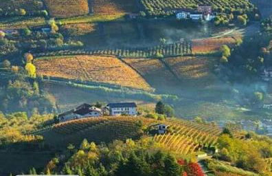 Casa Badinot - Foto 39