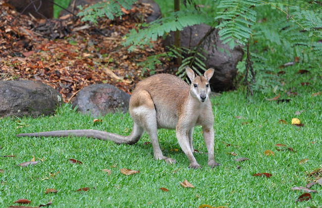 The Sanctuary Retreat - Foto 17