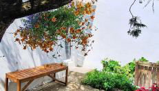 Pateo house - Photo 5, Garden view