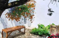 Pateo house - Photo 5