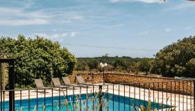 Ayurvila Wellness Retreat - Foto 3