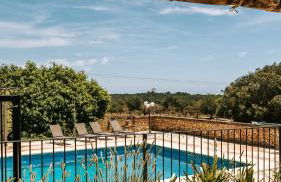 Ayurvila Wellness Retreat - Foto 3