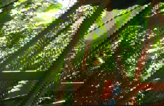 Nusa Indah Villa - Foto 36