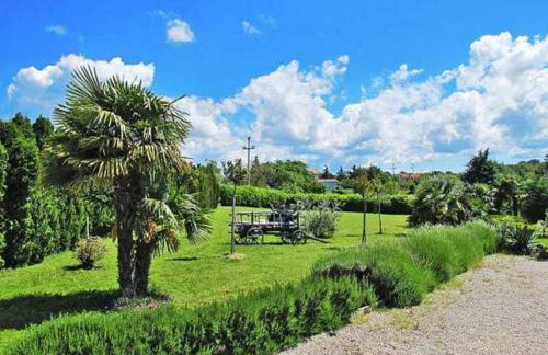 Apartments Aurelia - Foto 69