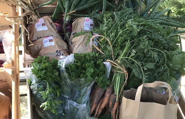 Strandsegård Ferielejligheder - Foto 67