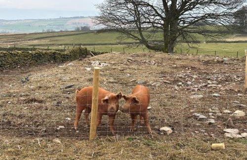 Lower Carhullan - Foto 57