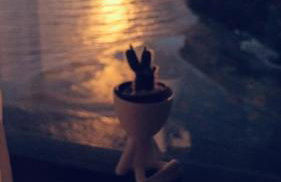 Vivance Paiva - Foto 19