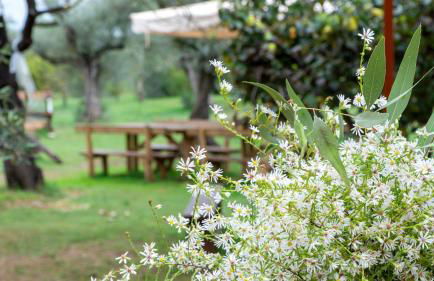 Su Leunaxiu - Foto 84