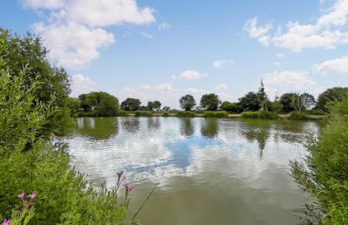 Stag Cottage - Foto 10